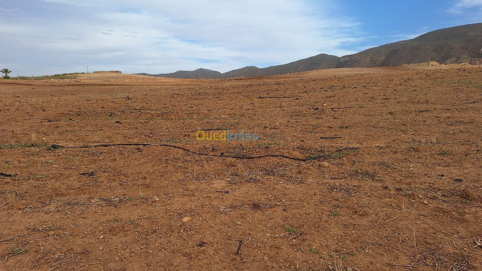 Vente Terrain Agricole Oran El ançor