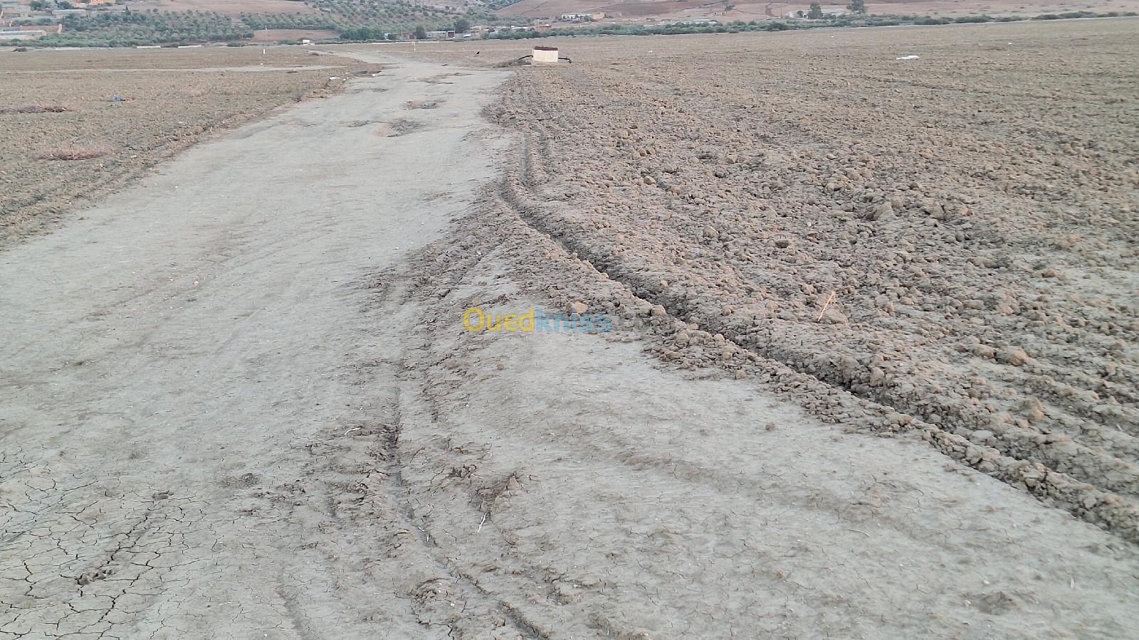 Vente Terrain Agricole Oran Tafraoui