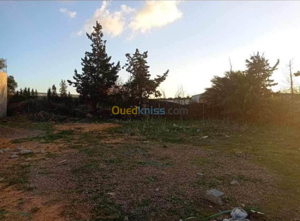 Vente Terrain Mostaganem Mezghrane