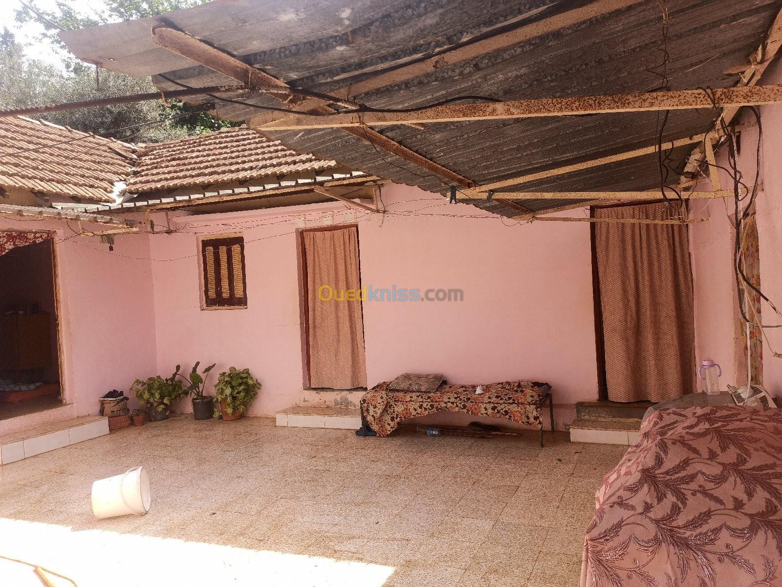 Vente Villa Blida El affroun