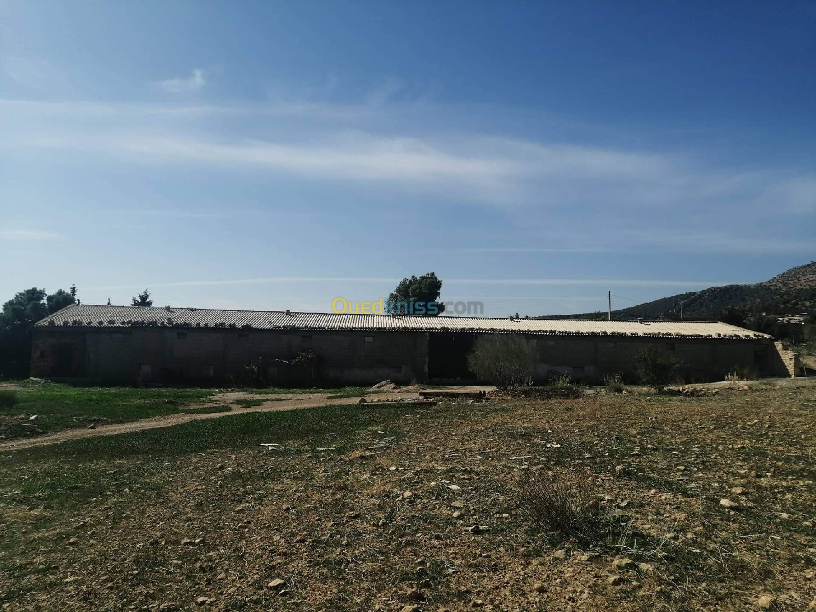 Vente Terrain Sétif Hamma