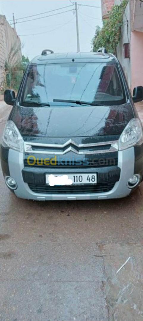 Citroen Berlingo 2010 Berlingo