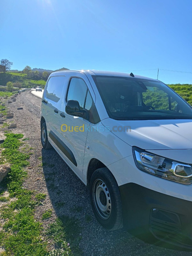 Fiat Doblo 2024 Professionnel