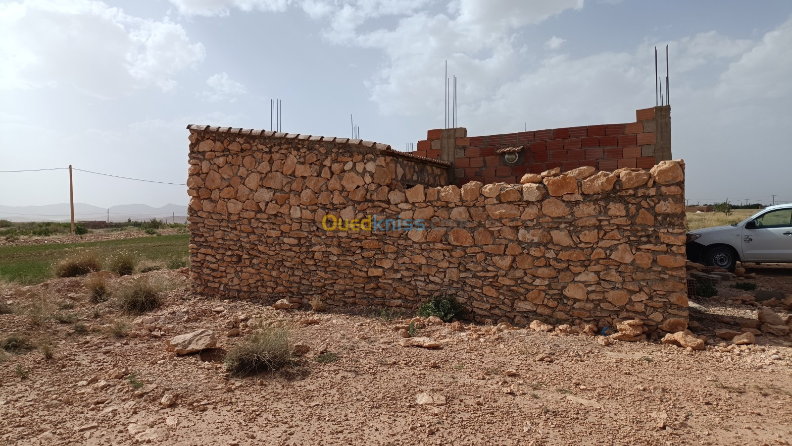 Vente Terrain Agricole Djelfa Mouadjebar