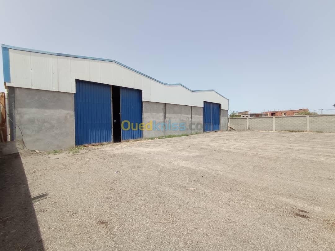 Location Hangar Boumerdès Boudouaou