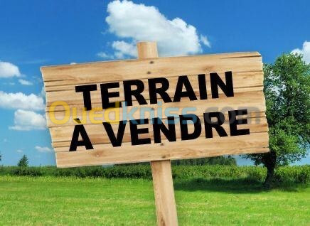 Vente Terrain Alger Bordj el kiffan