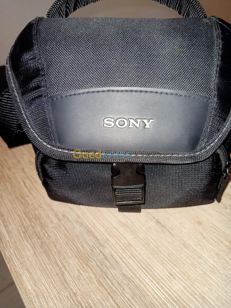 Sony Dsc-H300