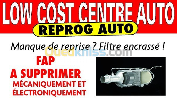 Suppression EGR/FAP/ADbleu