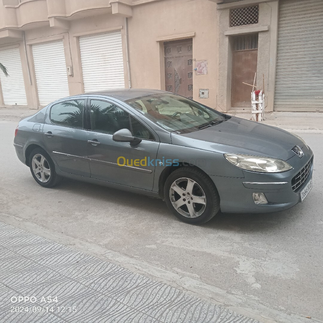 Peugeot 407 2010 407