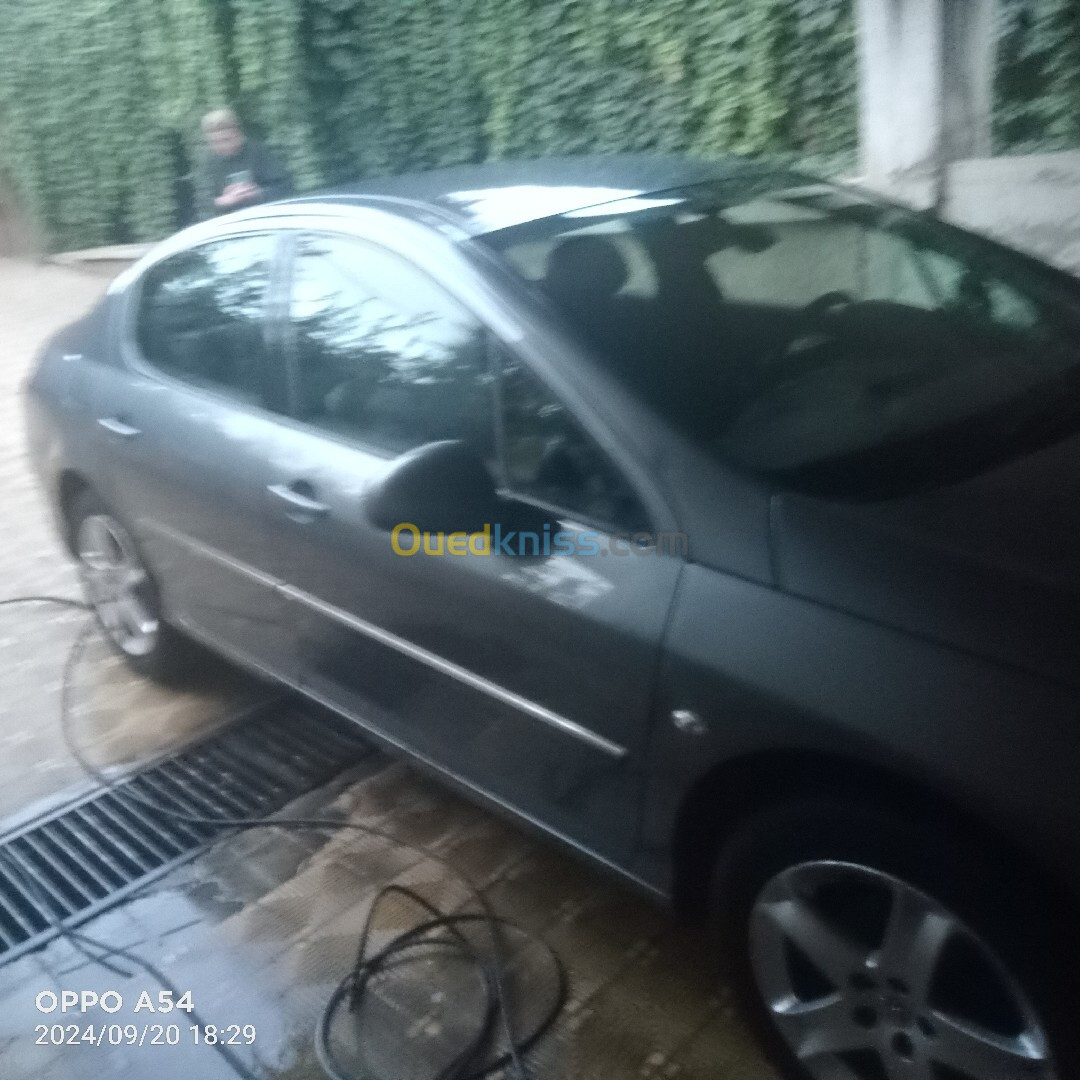 Peugeot 407 2010 407