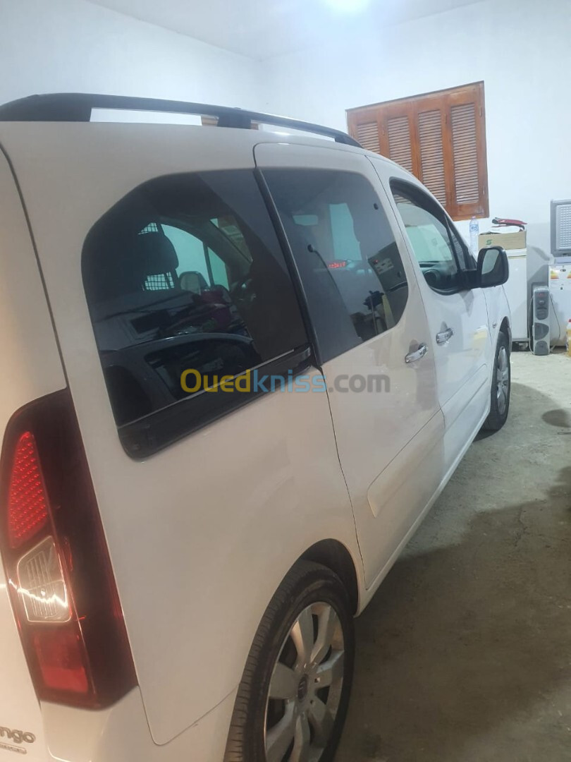 Citroen Berlingo 2017 Berlingo