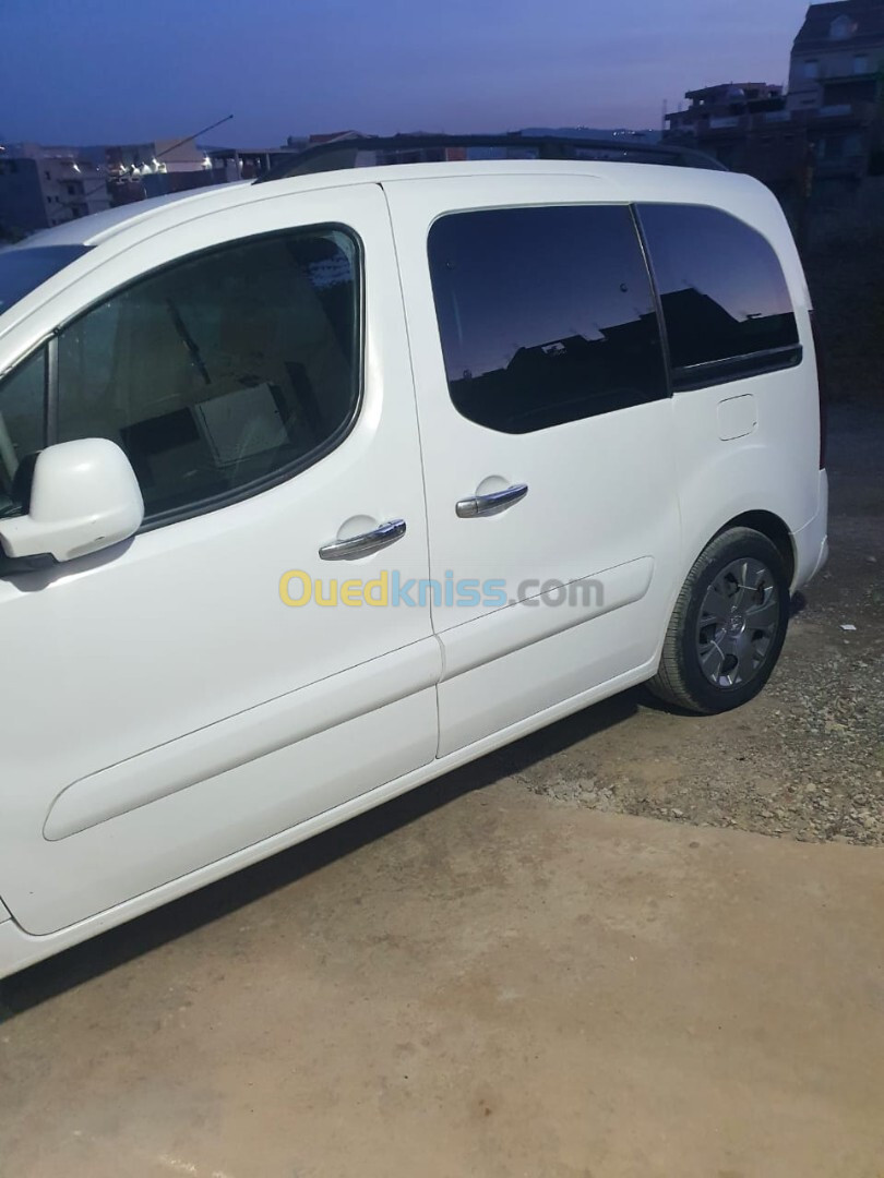 Citroen Berlingo 2017 Berlingo