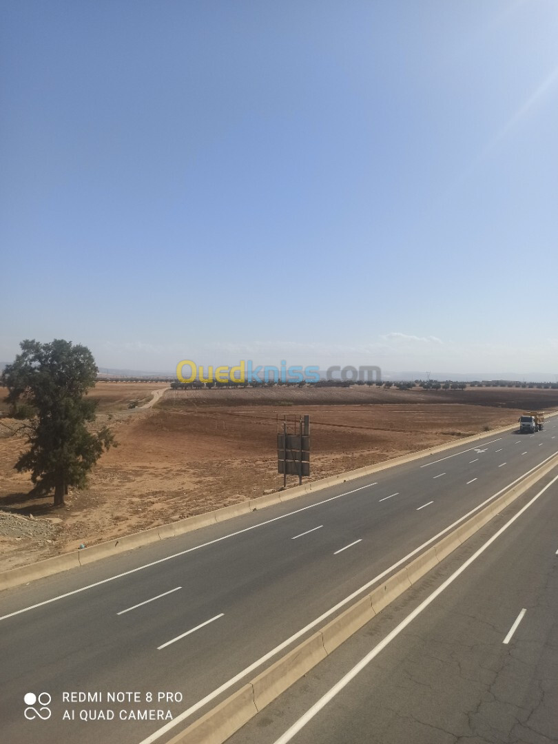 Vente Terrain Agricole Sidi Bel Abbès Sidi ali boussidi