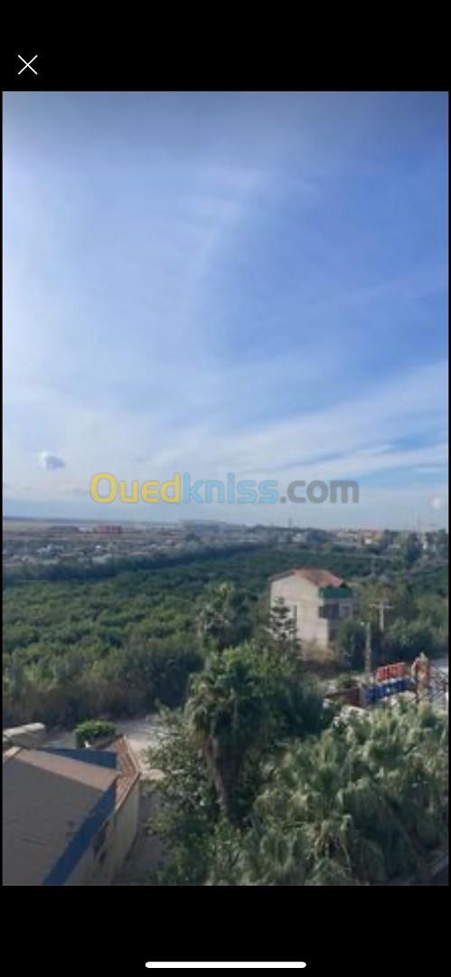 Vente Terrain Alger Dar el beida