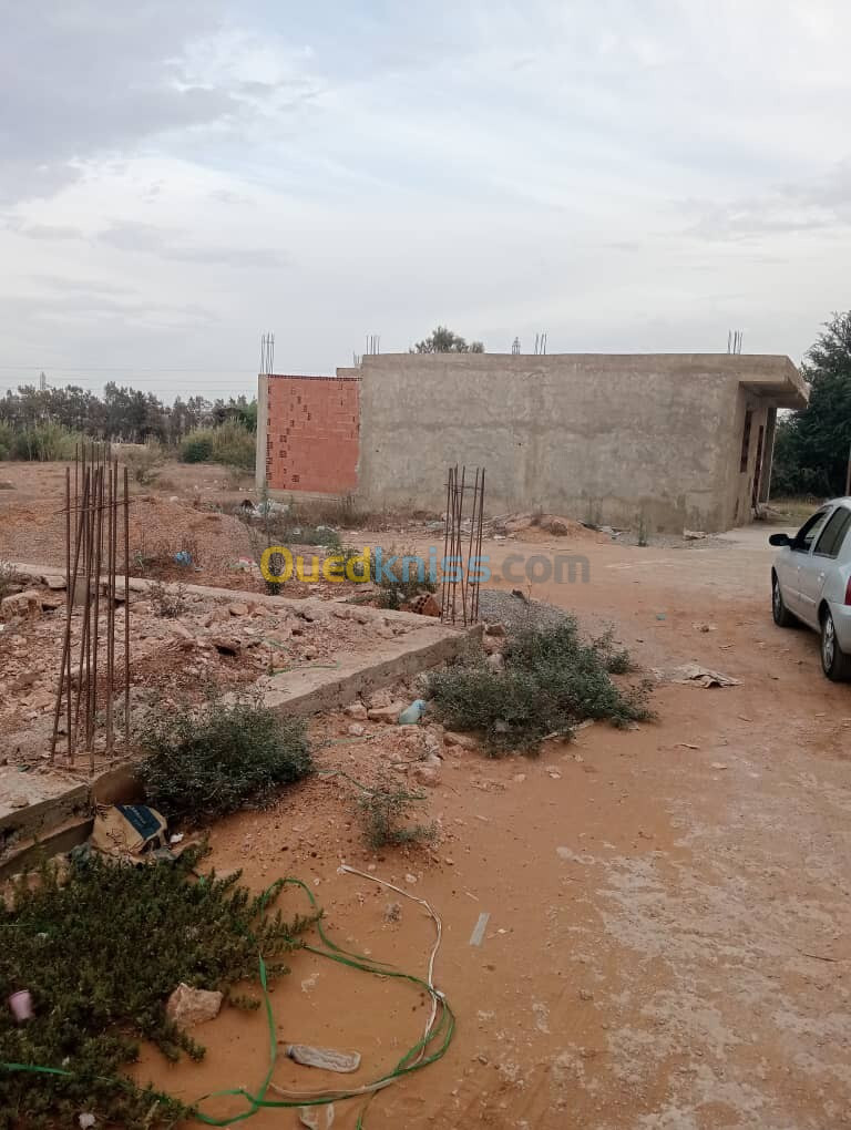 Vente Terrain Mostaganem Mostaganem