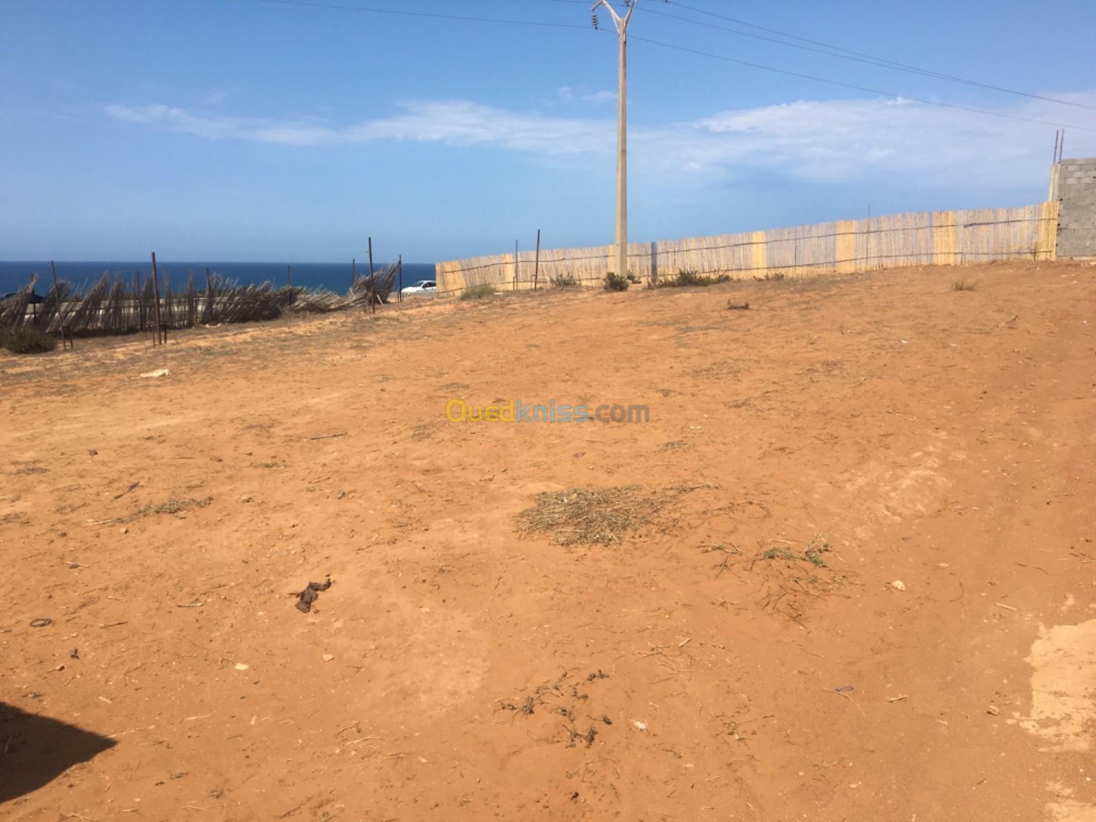 Vente Terrain Mostaganem Abdelmalek ramdane