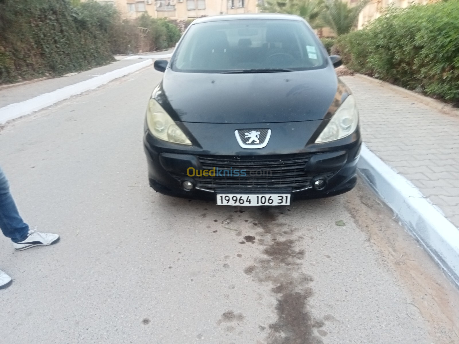 Peugeot 307 2006 