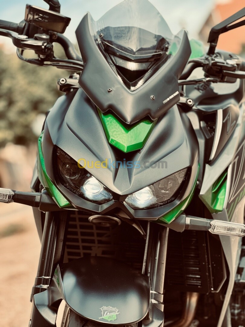 Kawasaki Z1000R 2019