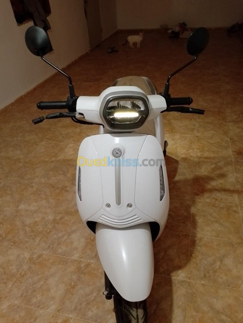 Benelli Panarea 2023