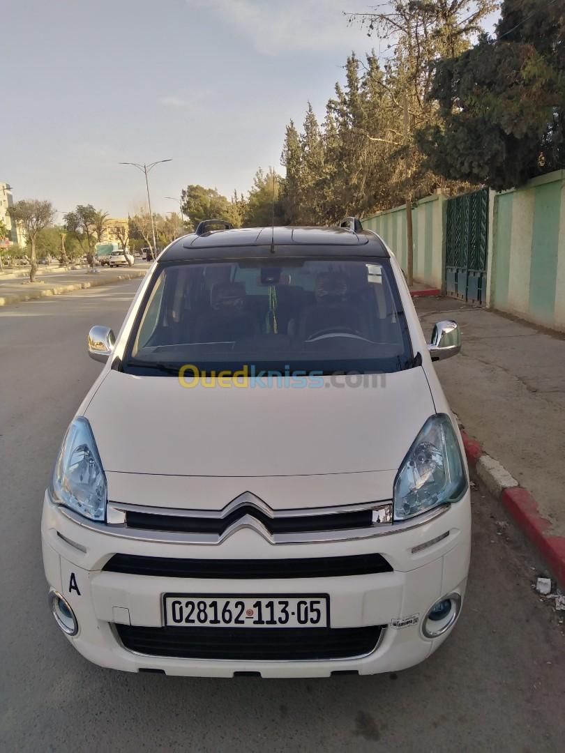 Citroen Berlingo 2013 Teppe