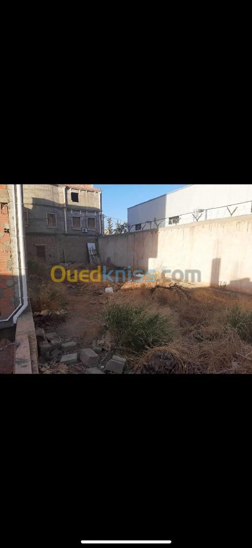 Vente Terrain Relizane Oued rhiou