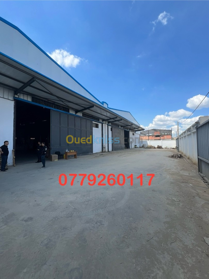 Location Hangar Alger Ouled chebel