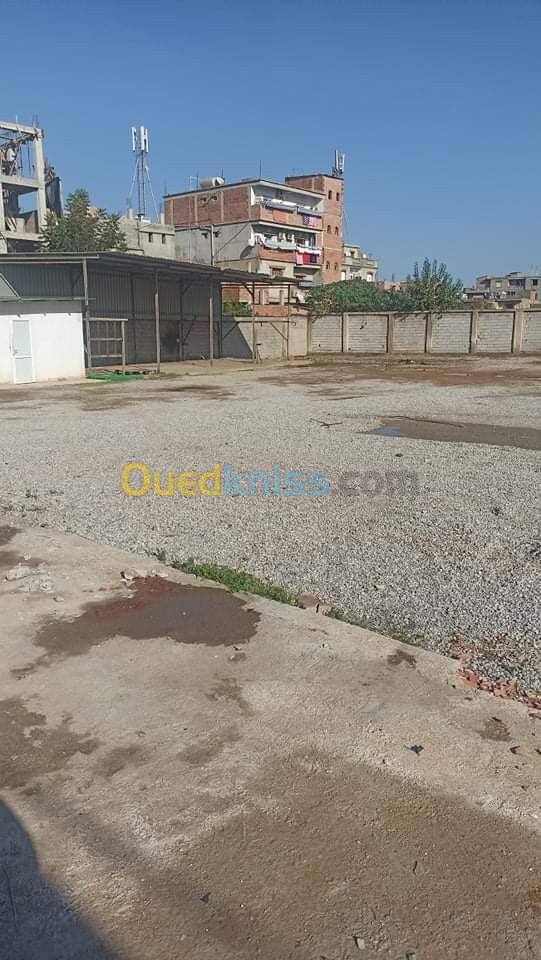 Vente Terrain Alger Baraki