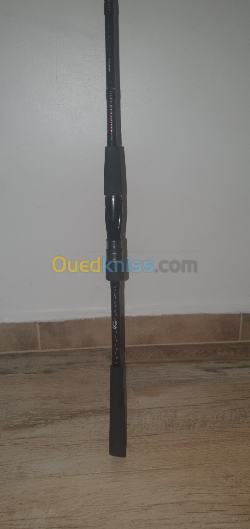 canne daiwa saltist 802 MH