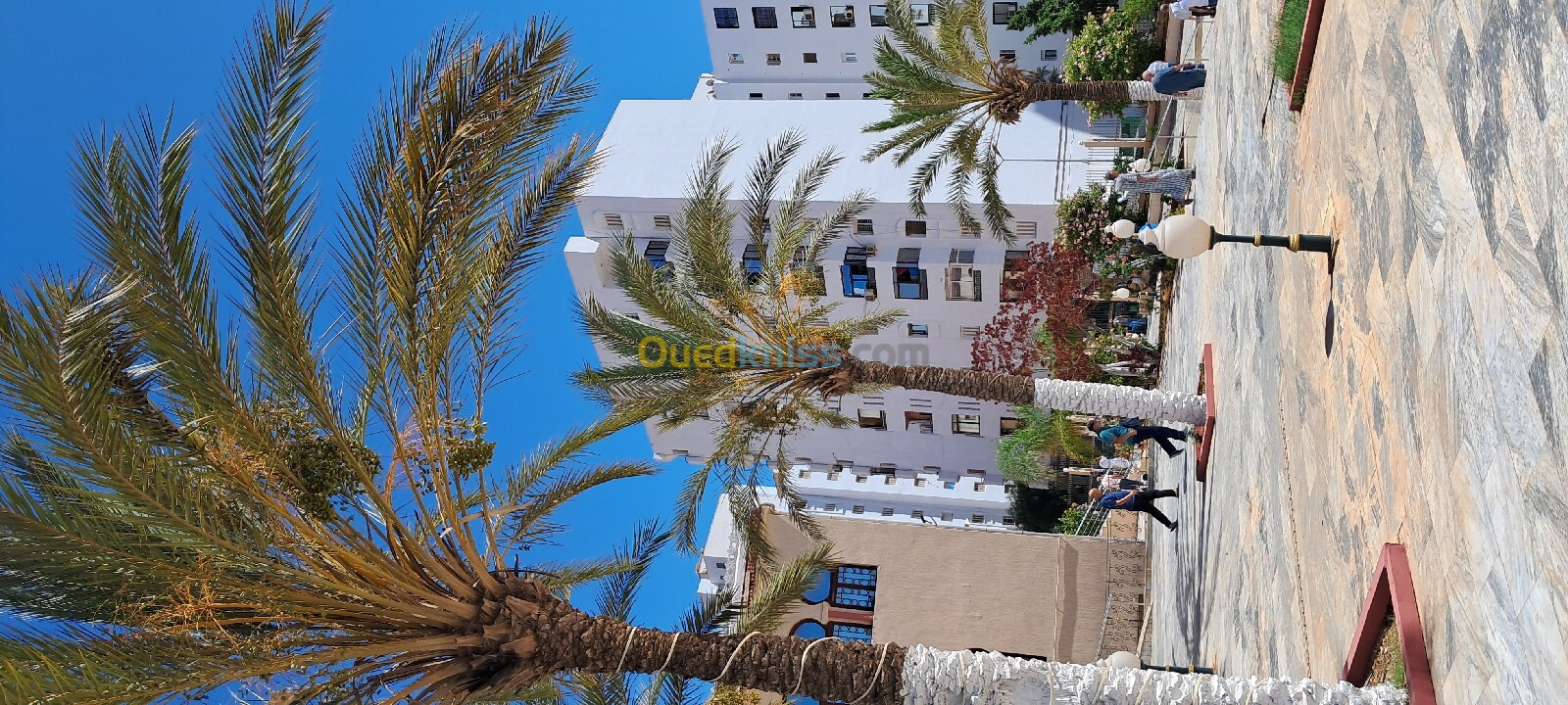 Vente Appartement F3 Oran Oran