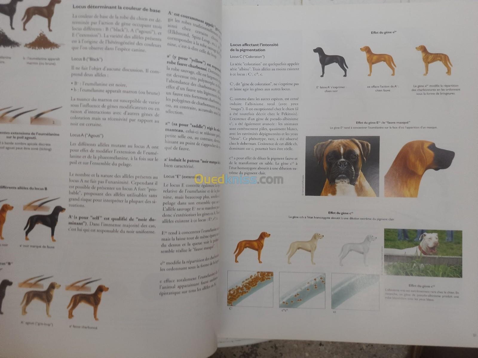 L'encyclopédie du chien 