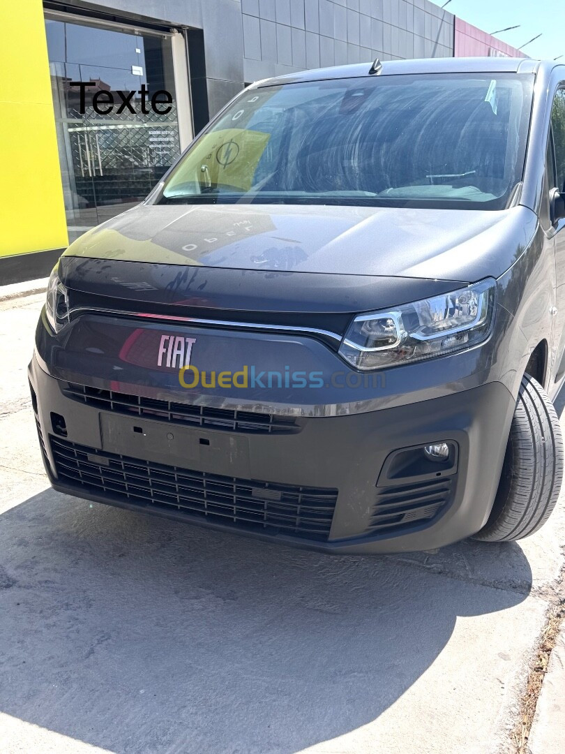 Fiat Doblo 2024 Professional