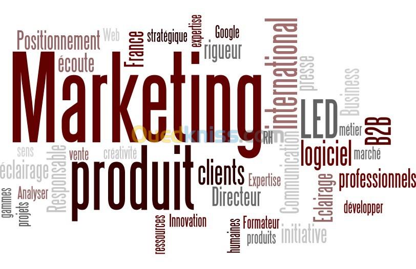 DIRECTEUR MARKETING