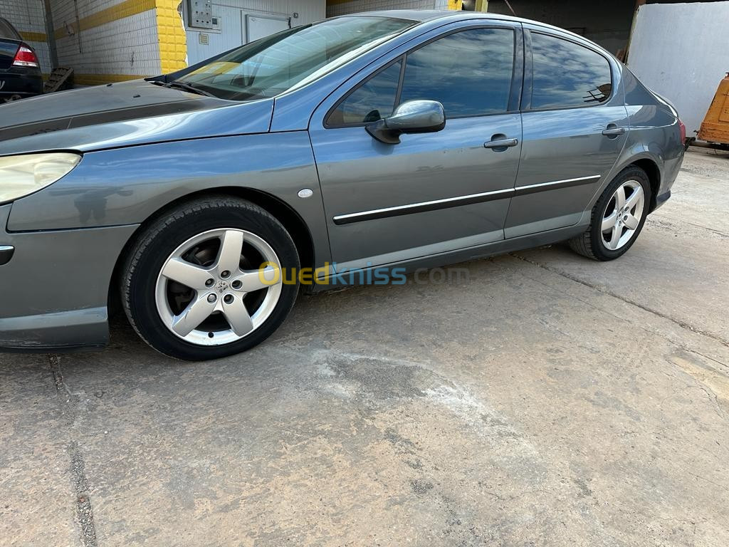 Peugeot 407 2006 407