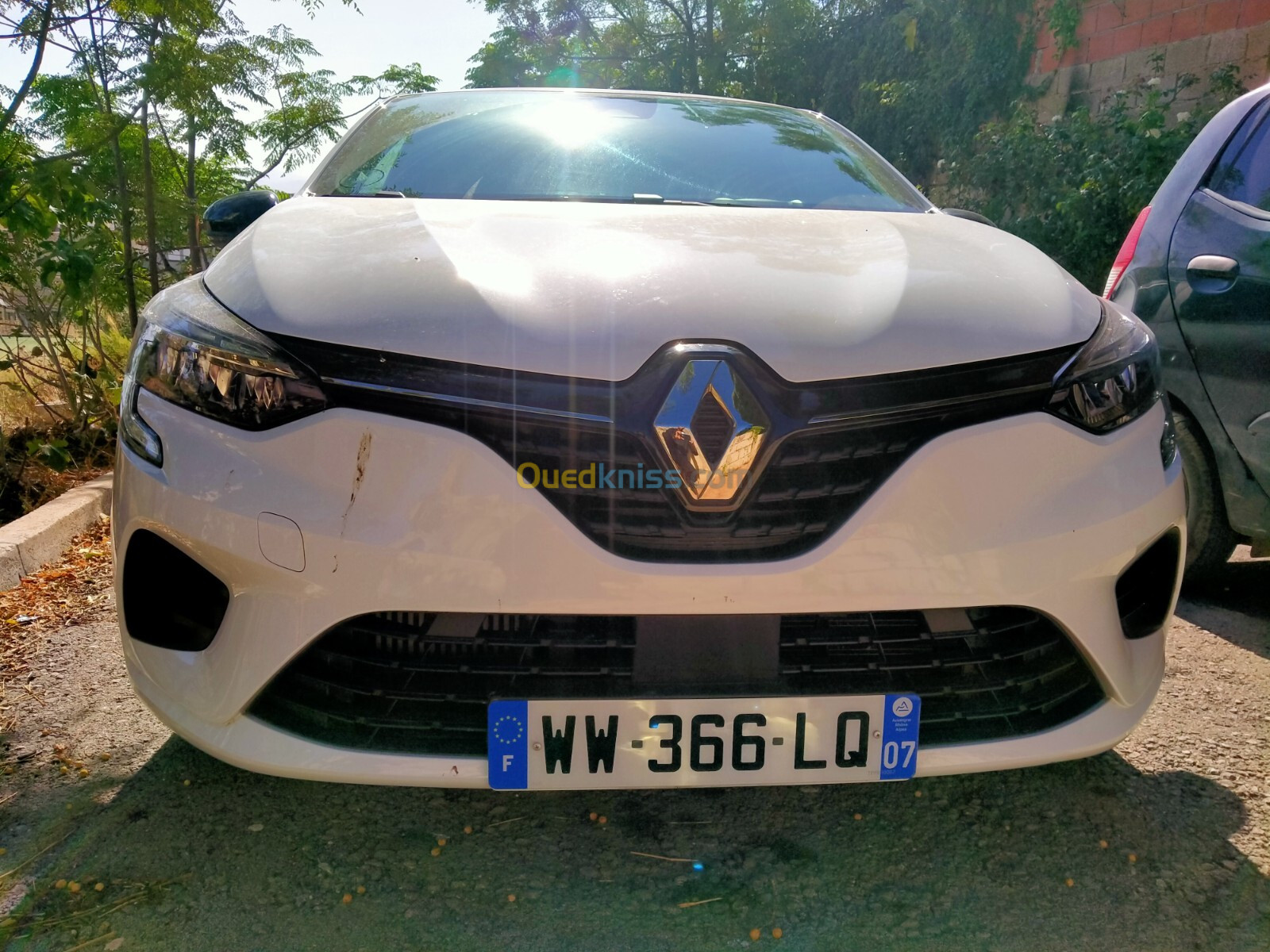 Renault Clio 2023 Businesses