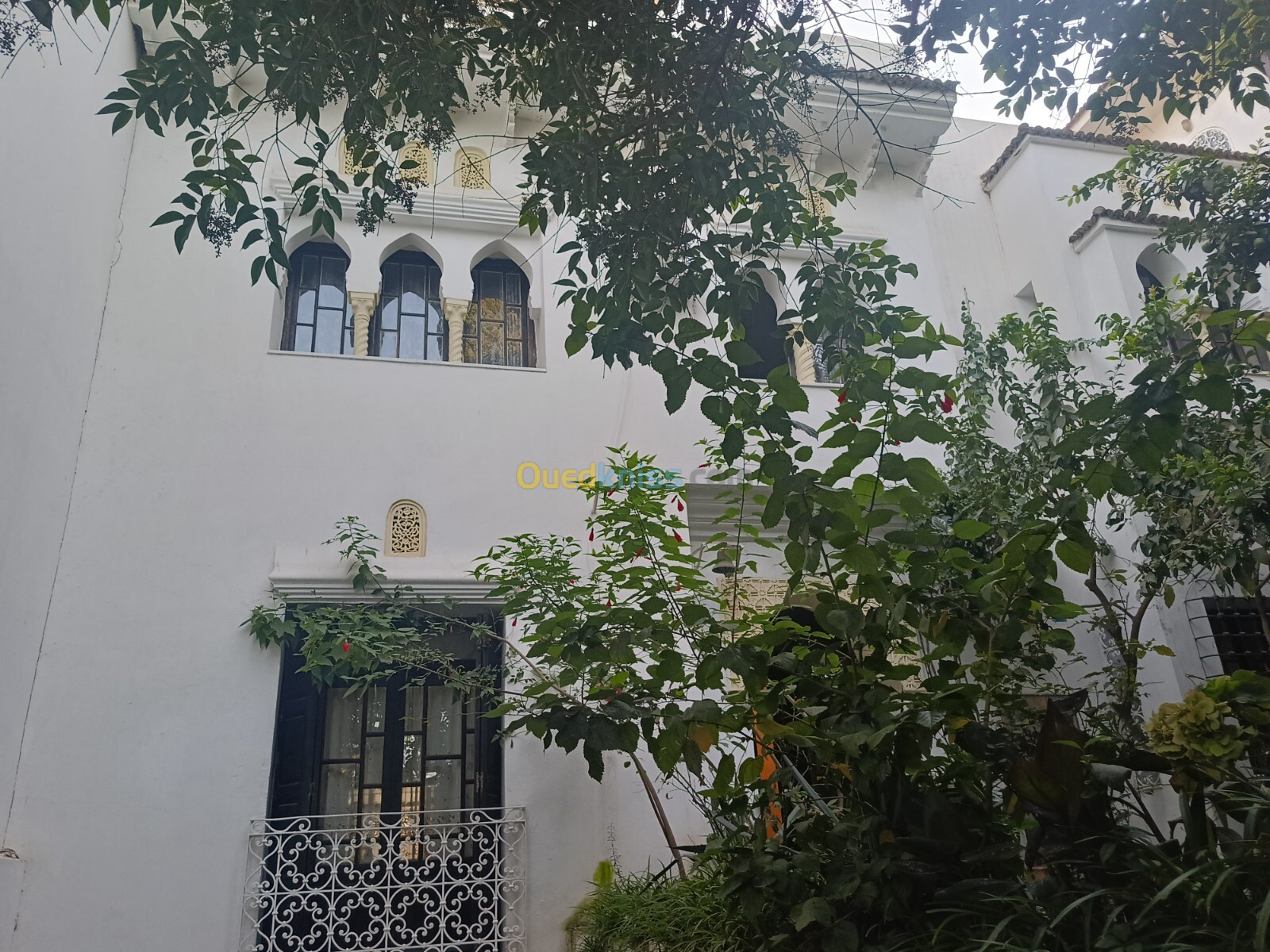 Location Villa Alger Hydra