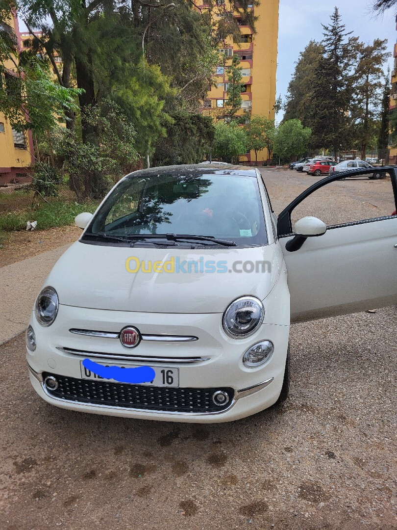 Fiat 500 2024 