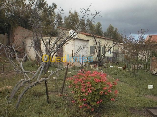 Vente Villa Oran Mers El Kébir