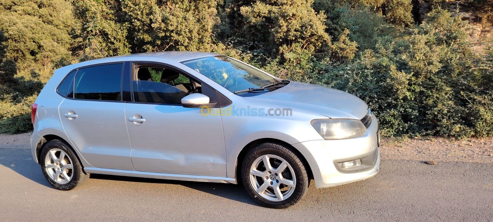 Volkswagen Polo 2010 Polo