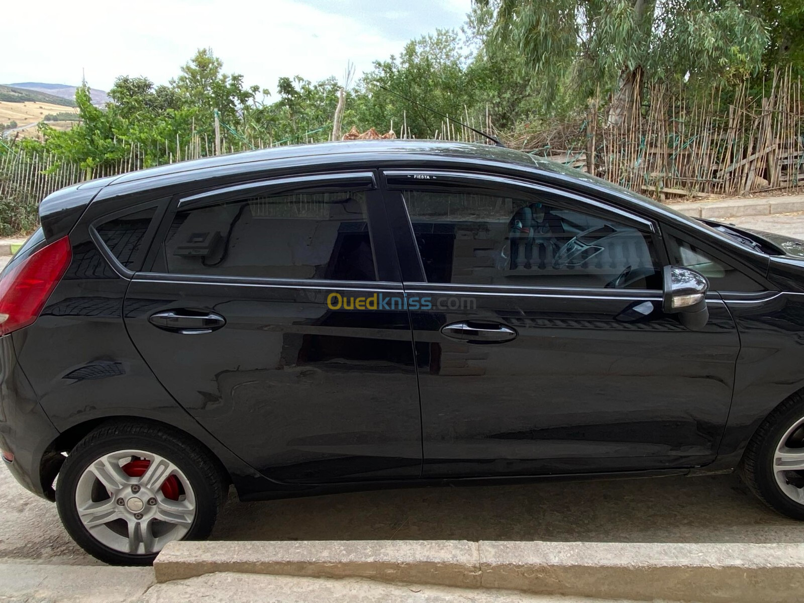 Ford Fiesta 2010 