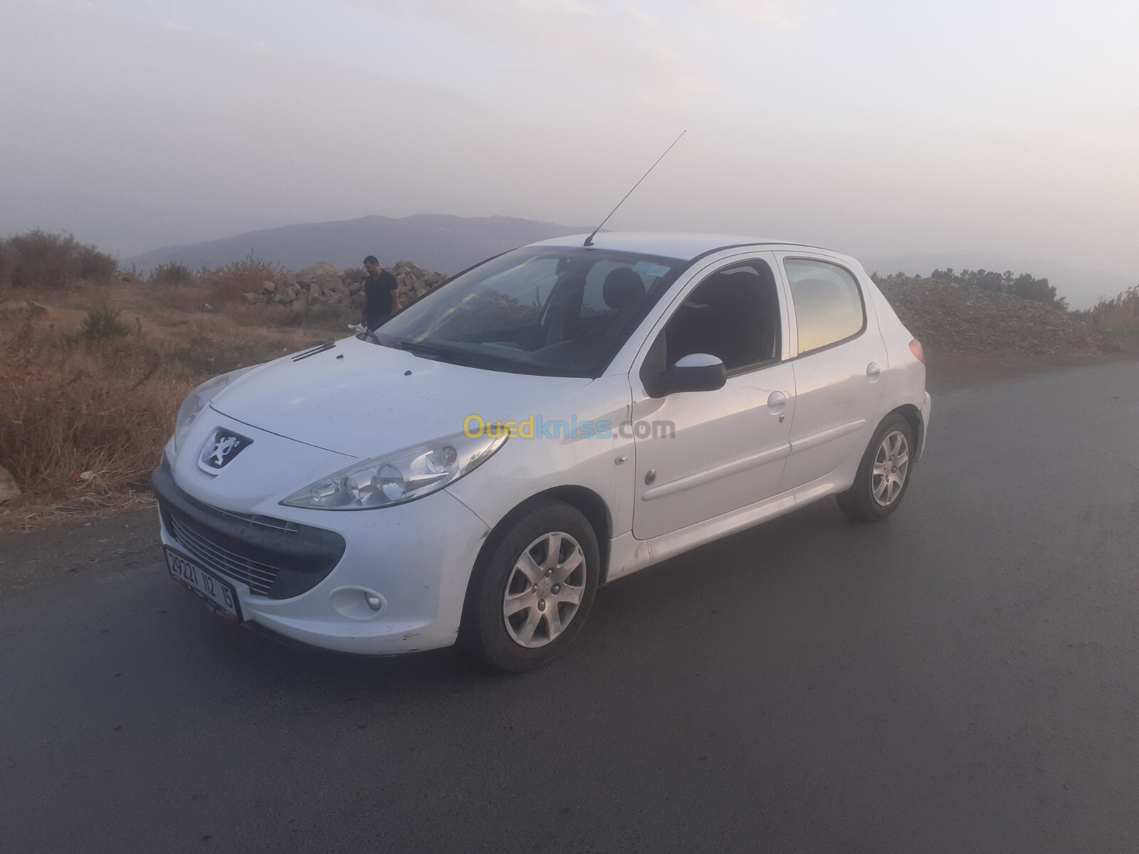 Peugeot 206 Plus 2012 