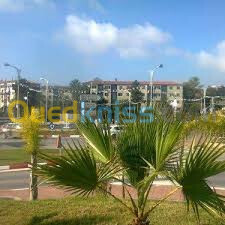 Vente Appartement F4 Alger Dely brahim