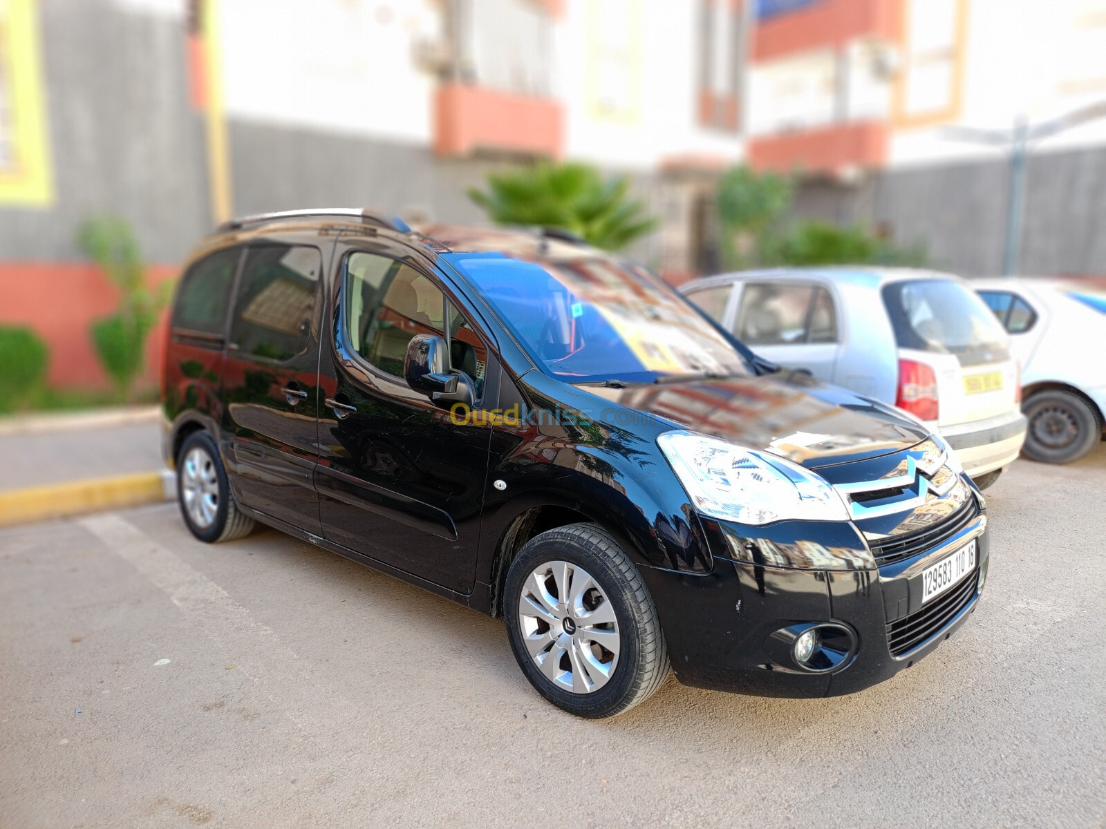 Citroen Berlingo 2010 Berlingo