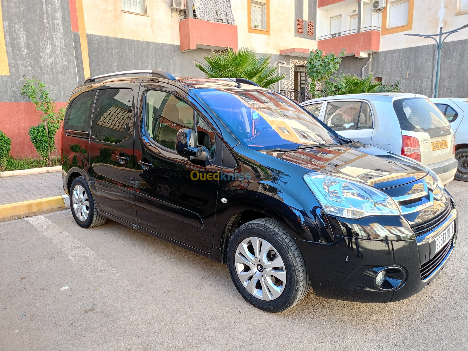 Citroen Berlingo 2010 Berlingo