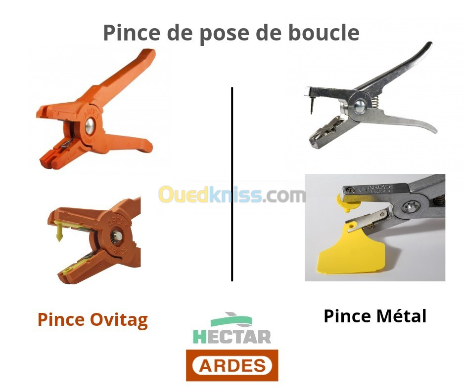 Pince de pose des boucles d'identification كماشة وضع حلقات التعريف