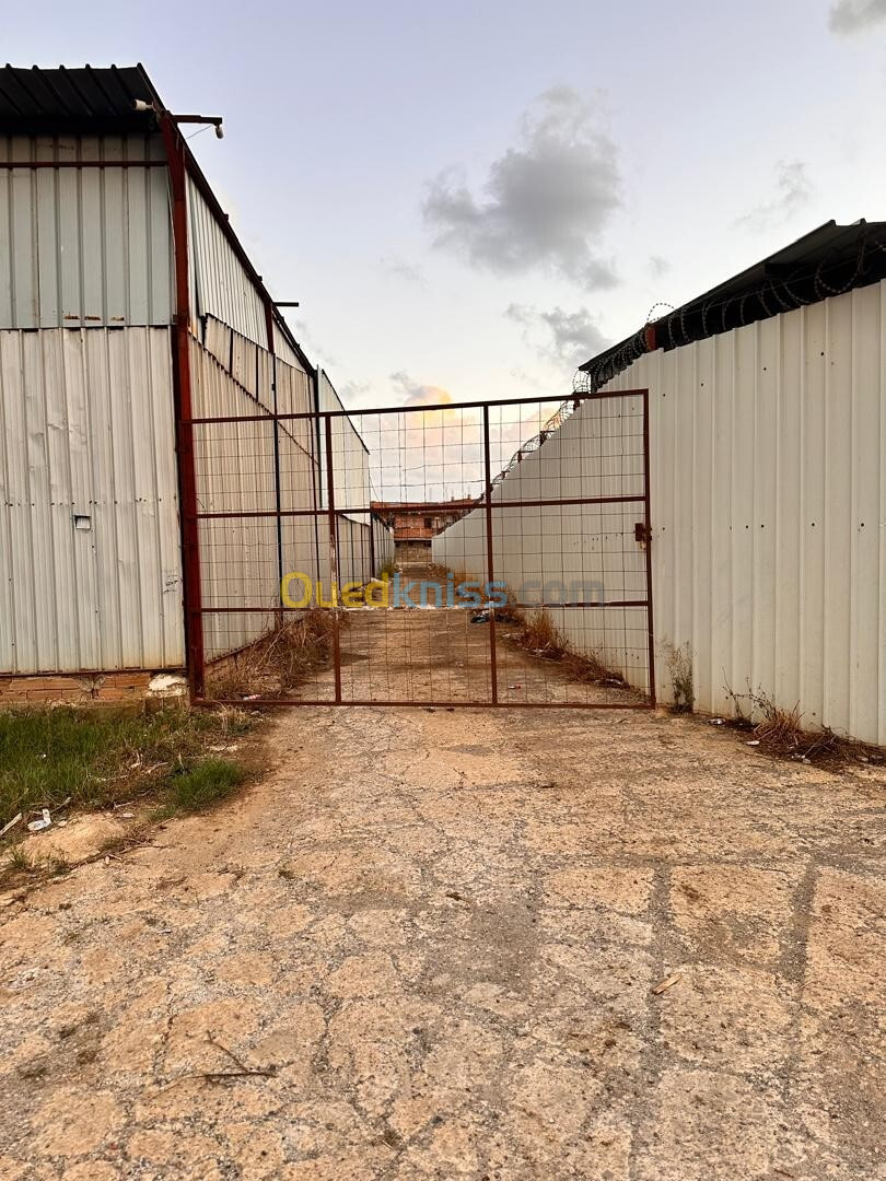 Location Hangar Boumerdès Ouled hedadj