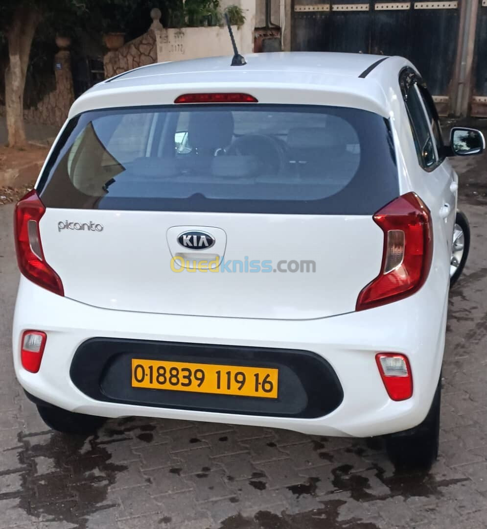 Kia Picanto 2019 LX Start