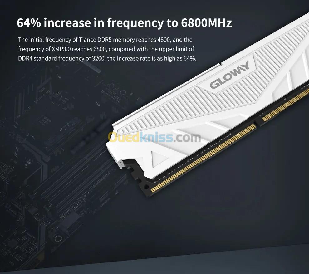 Gloway RAM DDR5 8X2 GB 4800 MHZ CL40