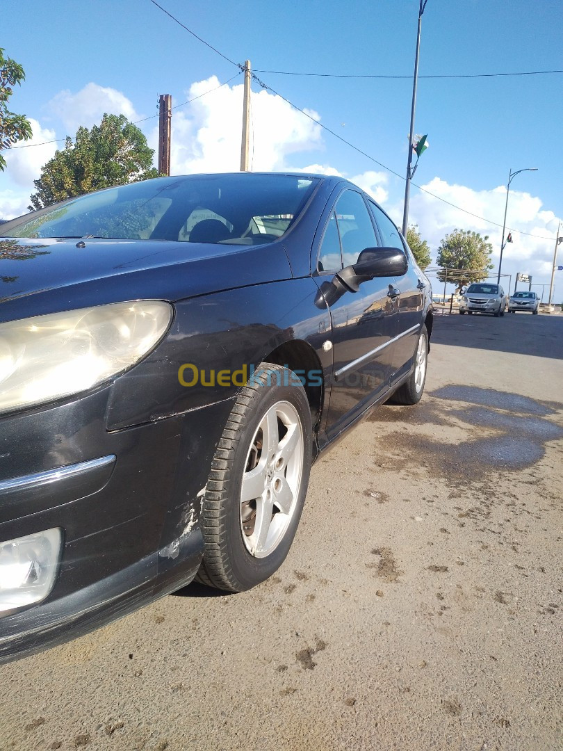 Peugeot 407 2008 407