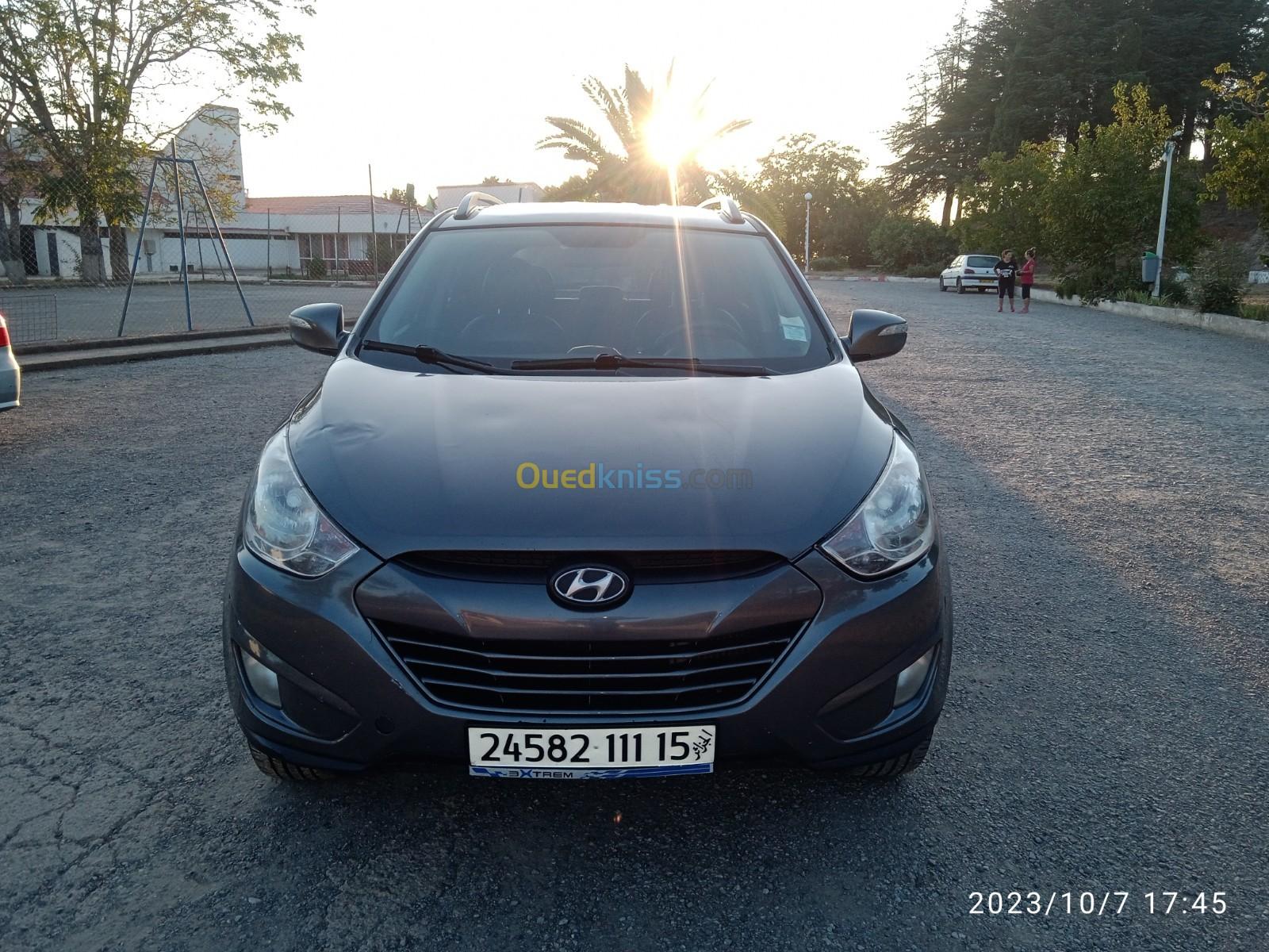 Hyundai Tucson 2011 Tucson