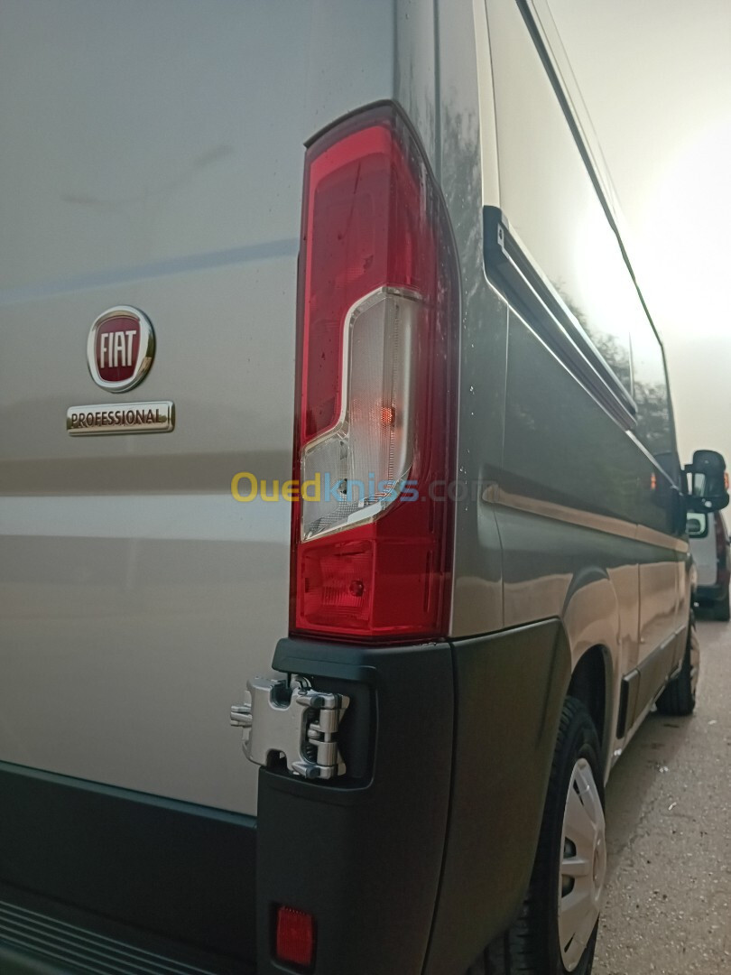 Fiat Ducato 2 panneaux 2024